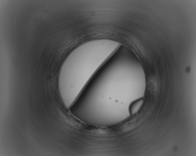 X0000097760412200803070841