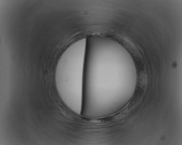 X0000097760413200803070841