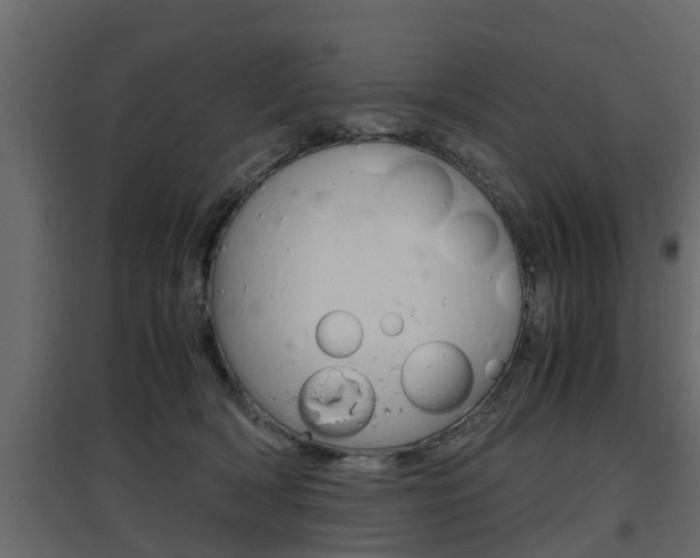 X0000097760418200803070841
