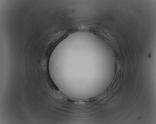 X0000097760419200803070841