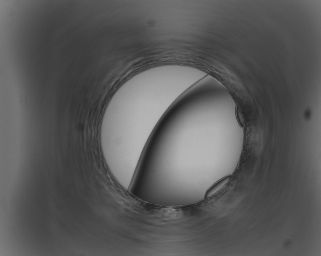 X0000097760421200803070841