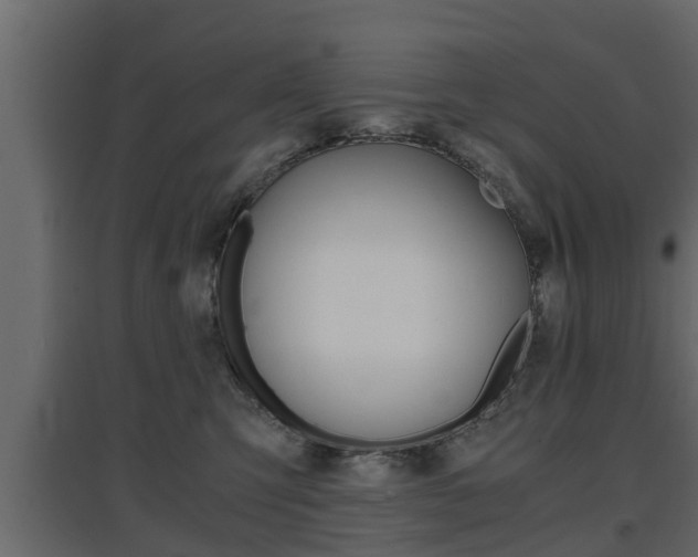 X0000097760423200803070841