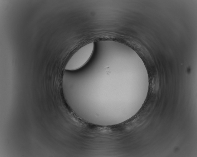 X0000097760424200803070841