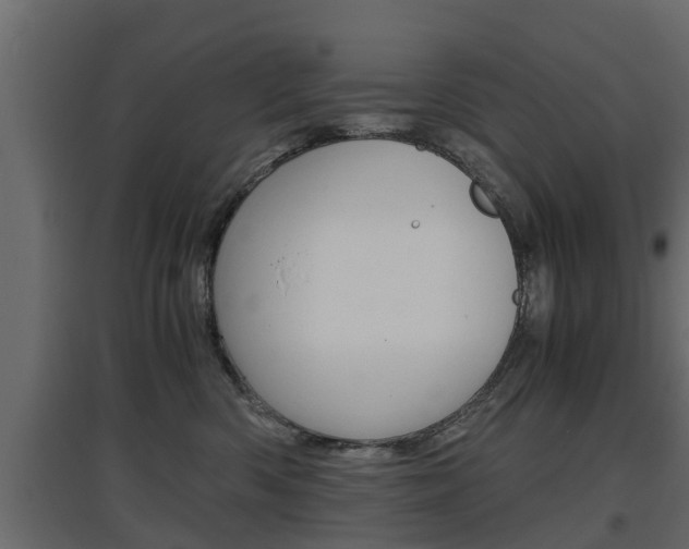 X0000097760426200803070841
