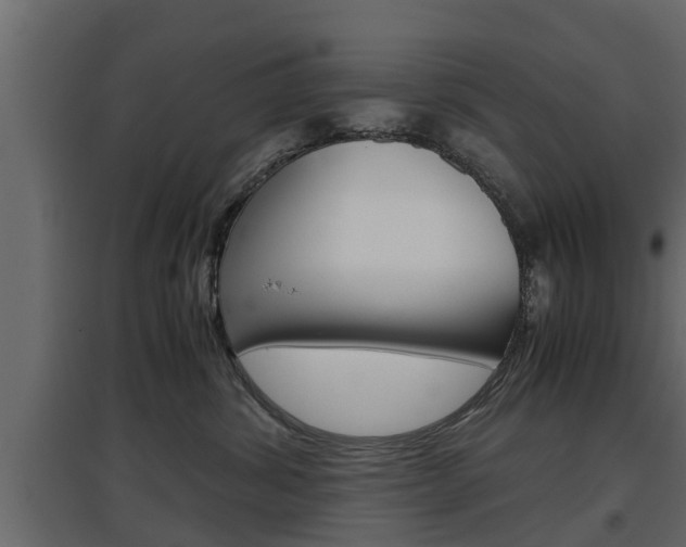 X0000097760428200803070841