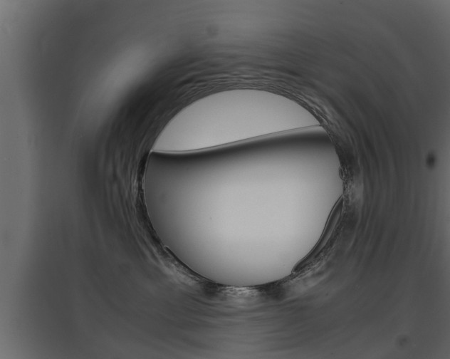 X0000097760429200803070841