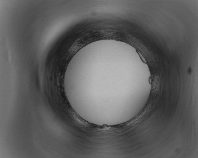 X0000097760430200803070841
