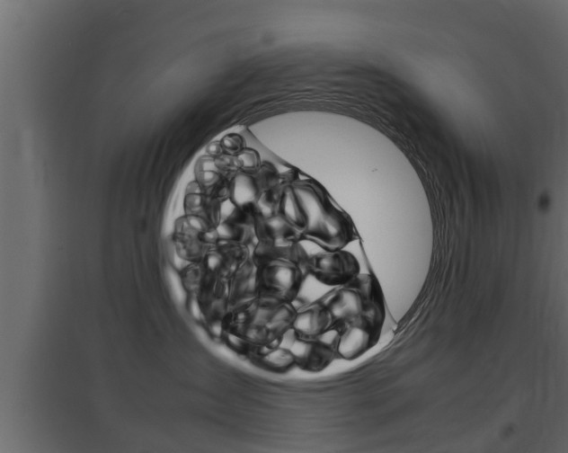 X0000097760431200803070841