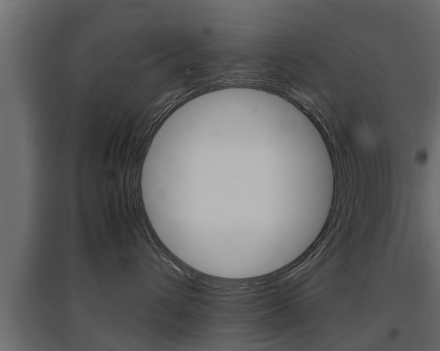 X0000097760432200803070841