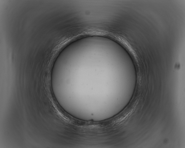 X0000097760433200803070840