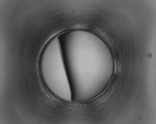 X0000097760435200803070840