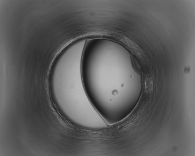 X0000097760436200803070840