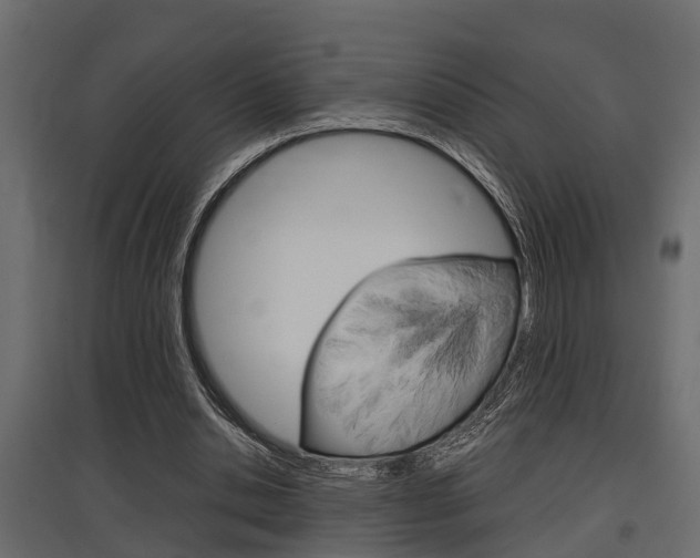 X0000097760438200803070840
