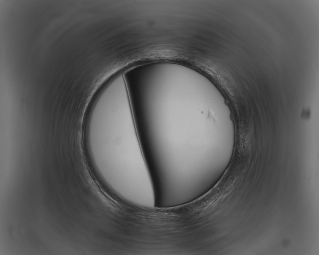 X0000097760439200803070840
