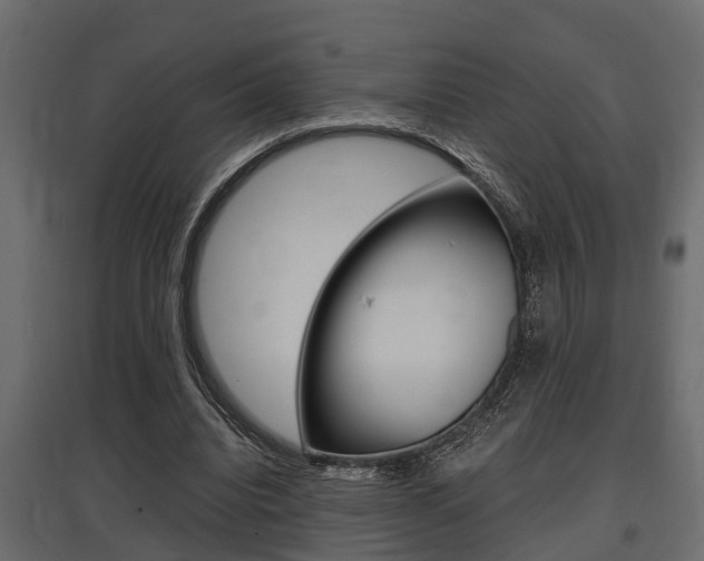 X0000097760440200803070840