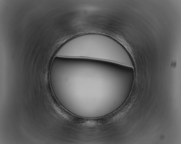 X0000097760441200803070840