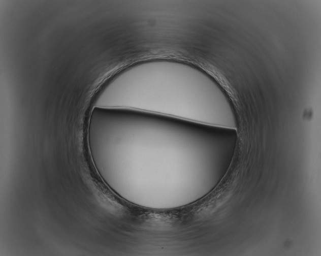 X0000097760442200803070840
