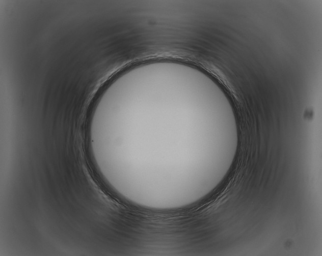 X0000097760444200803070840