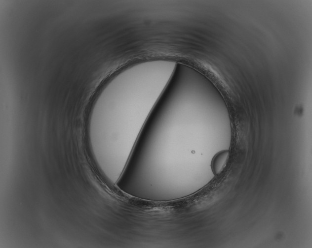 X0000097760447200803070840