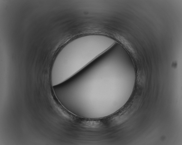 X0000097760449200803070840