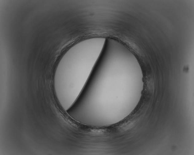 X0000097760450200803070840