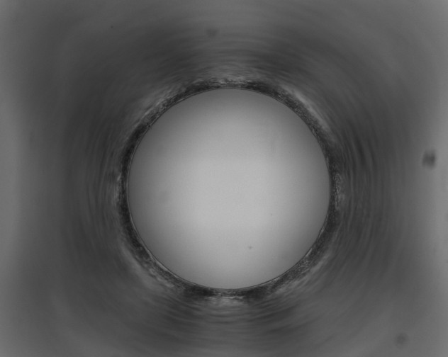 X0000097760451200803070840