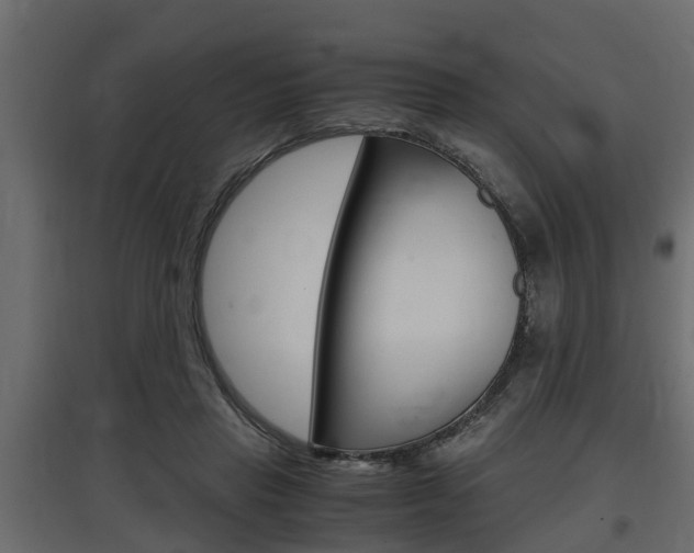 X0000097760453200803070840
