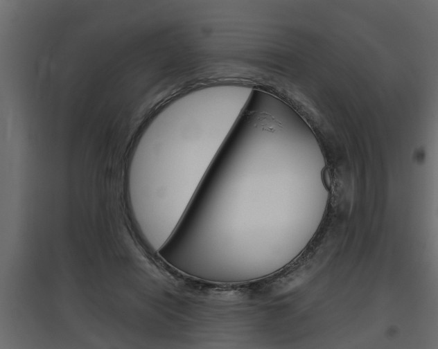 X0000097760454200803070840