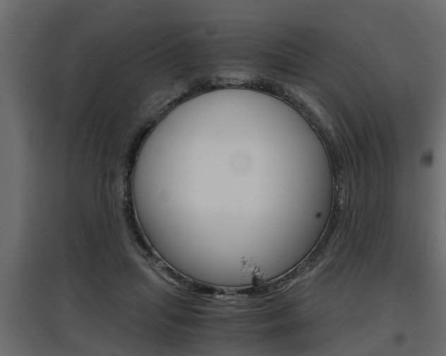X0000097760455200803070840