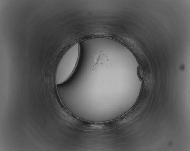 X0000097760457200803070840