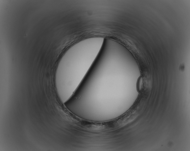 X0000097760458200803070840