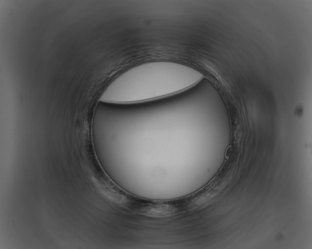 X0000097760459200803070840