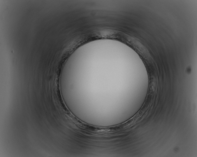 X0000097760461200803070841