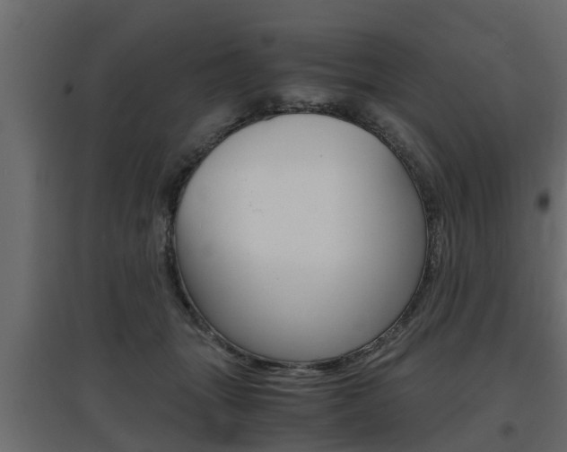 X0000097760463200803070841