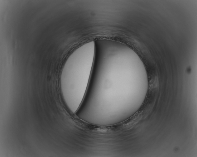 X0000097760464200803070841