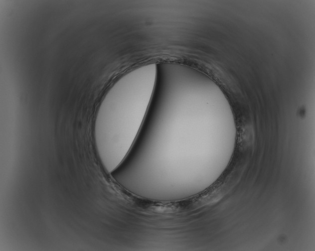 X0000097760466200803070841