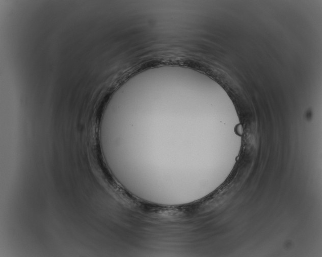 X0000097760468200803070841