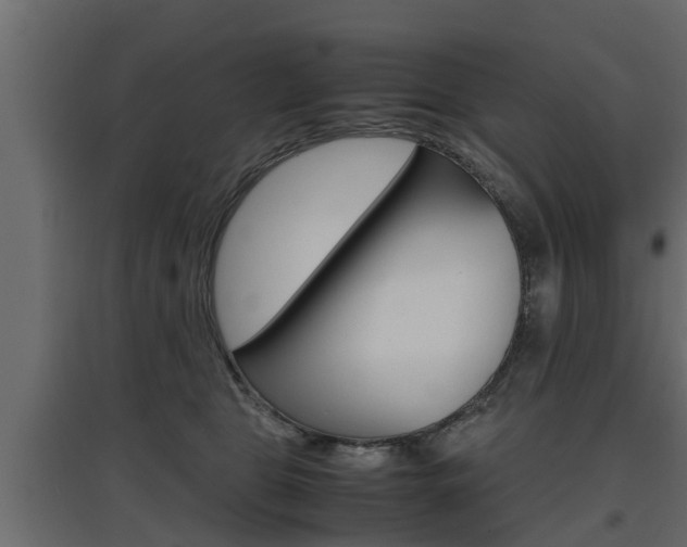 X0000097760469200803070841