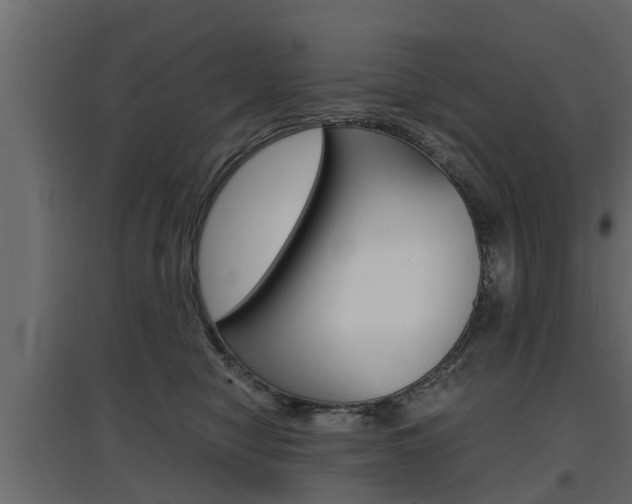 X0000097760470200803070841