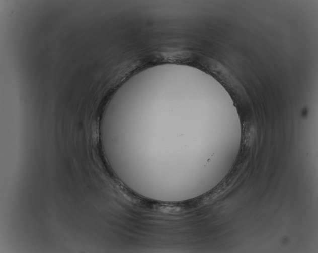 X0000097760471200803070841