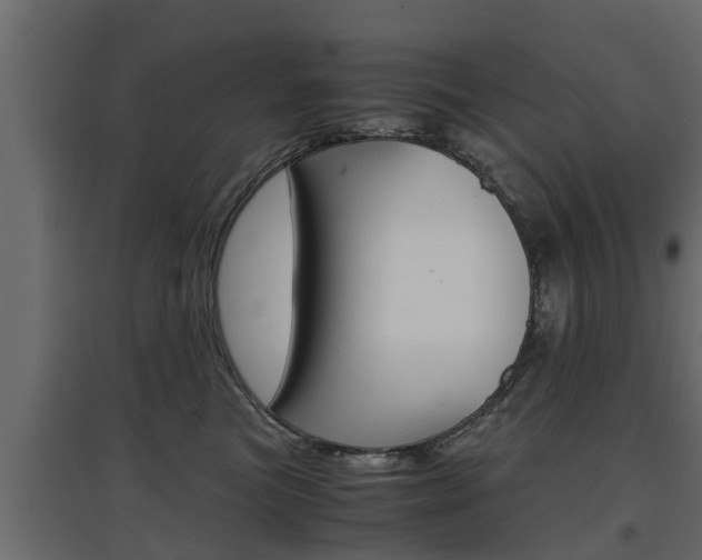 X0000097760473200803070841