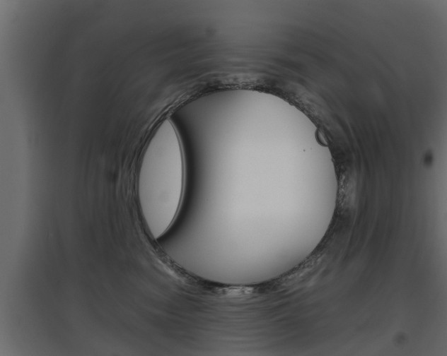 X0000097760474200803070841