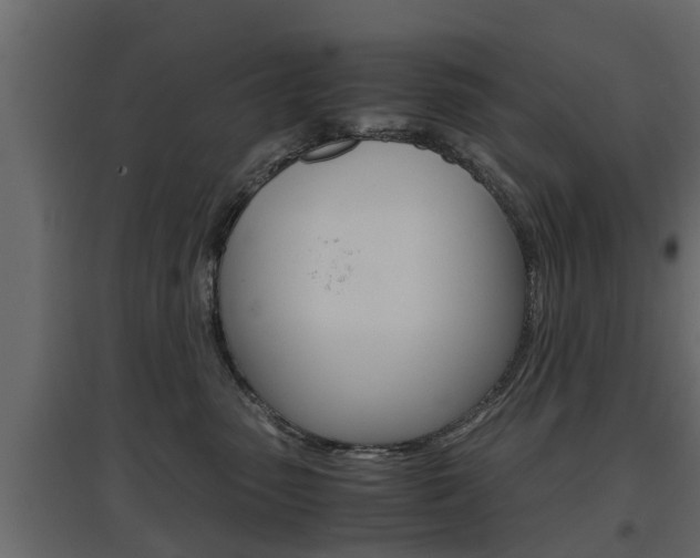 X0000097760475200803070841