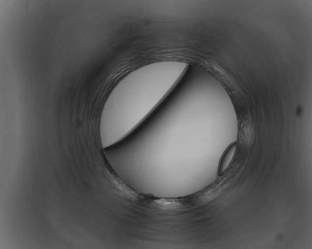 X0000097760477200803070841