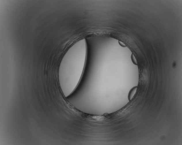 X0000097760478200803070841