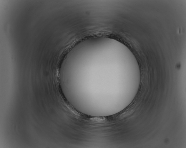 X0000097760480200803070841