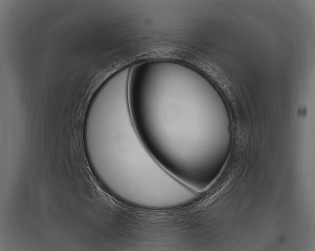 X0000097760481200803070840