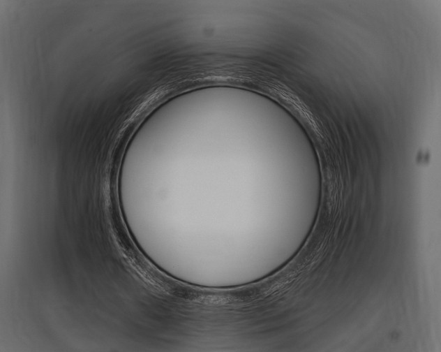 X0000097760482200803070840