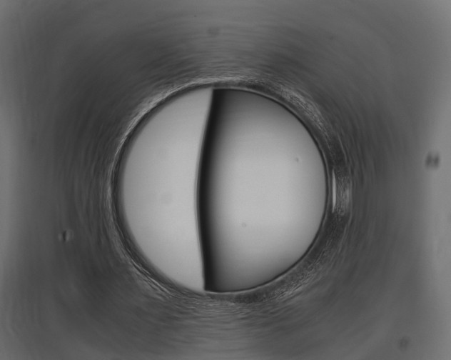 X0000097760483200803070840