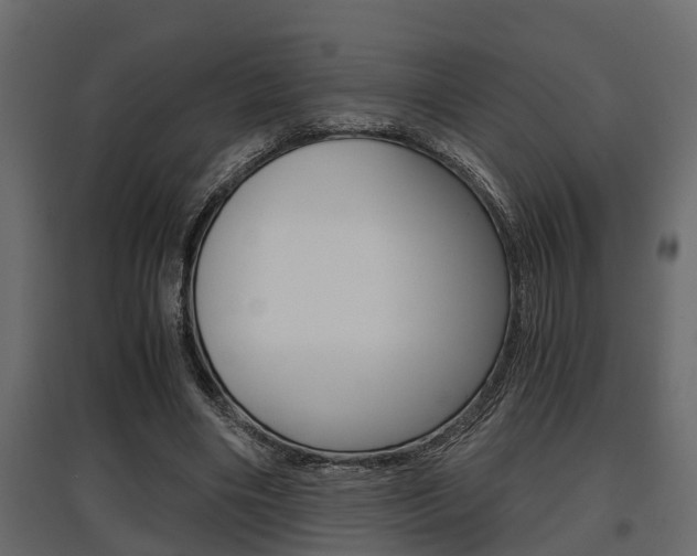 X0000097760490200803070840
